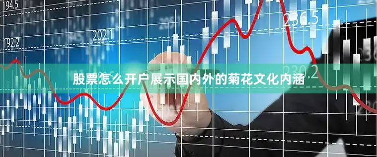 股票怎么开户展示国内外的菊花文化内涵