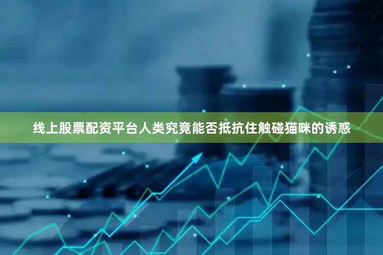 线上股票配资平台人类究竟能否抵抗住触碰猫咪的诱惑
