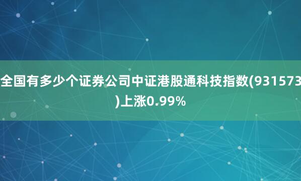 全国有多少个证券公司中证港股通科技指数(931573)上涨0.99%