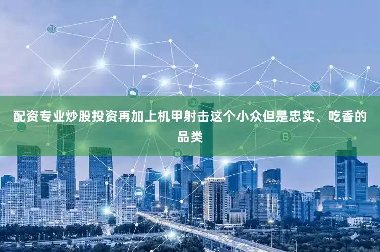 配资专业炒股投资再加上机甲射击这个小众但是忠实、吃香的品类
