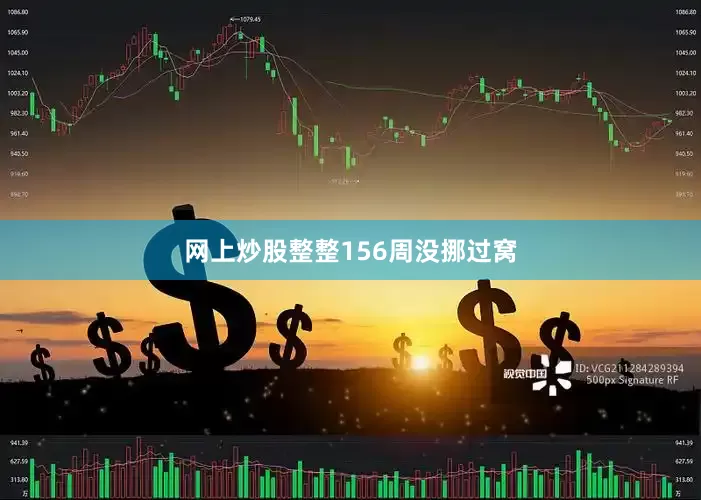 网上炒股整整156周没挪过窝