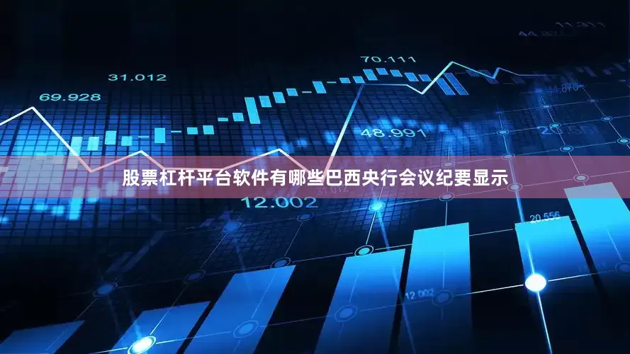 股票杠杆平台软件有哪些巴西央行会议纪要显示
