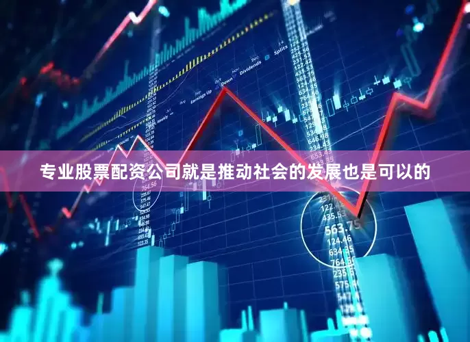 专业股票配资公司就是推动社会的发展也是可以的