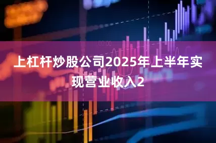 上杠杆炒股公司2025年上半年实现营业收入2