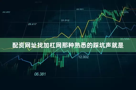 配资网址找加杠网那种熟悉的踩坑声就是